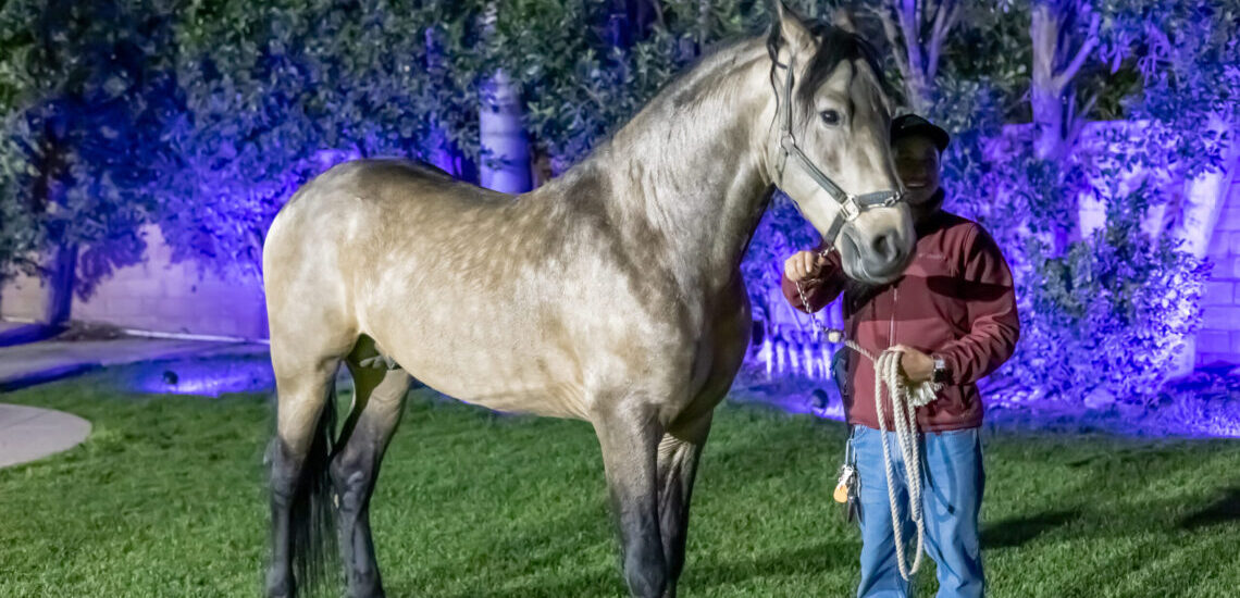 A therapist with a horse