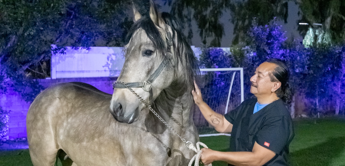 A man with a horse at outpatient alcohol rehab San Fernando Valley