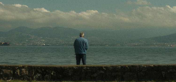 A solitary figure gazing at the coastline, embodying the practice of emotional regulation through mindful reflection.