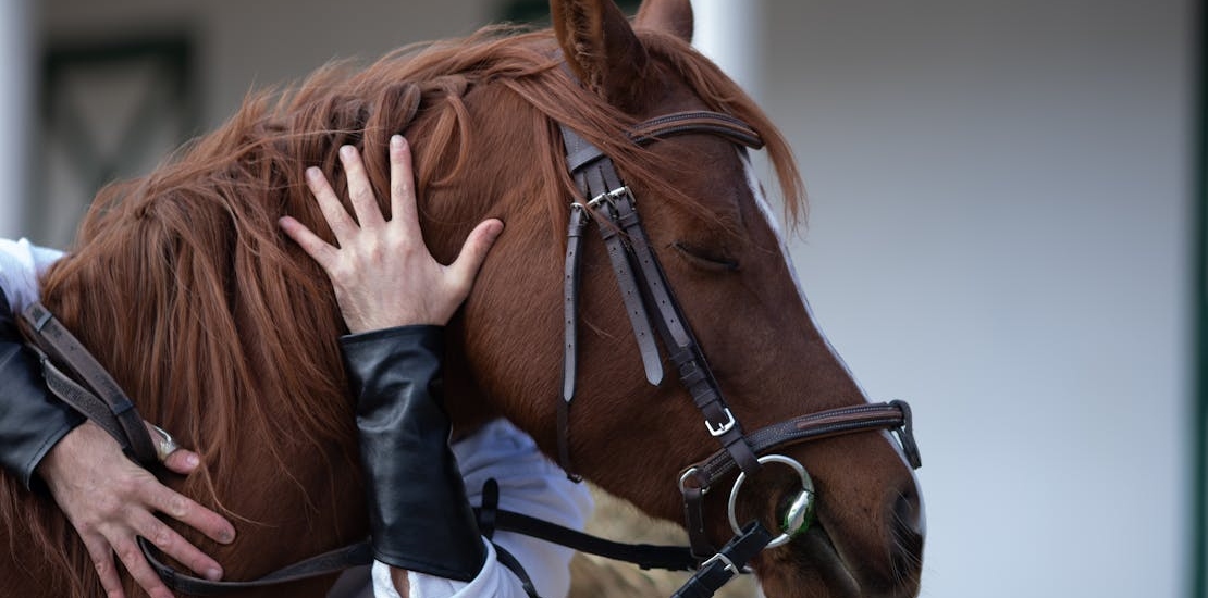 A person experiencing the power of healing with horses.