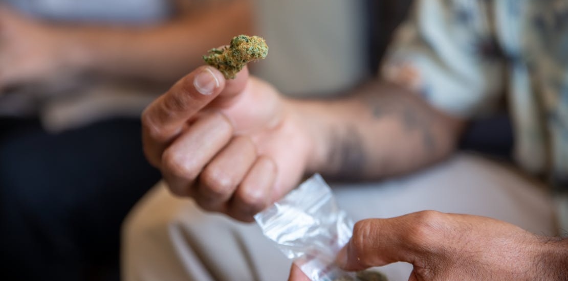 A person holding marijuana