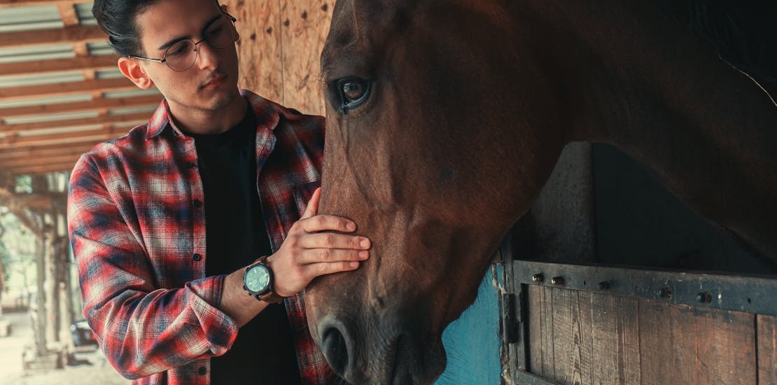 A young man and a horse.