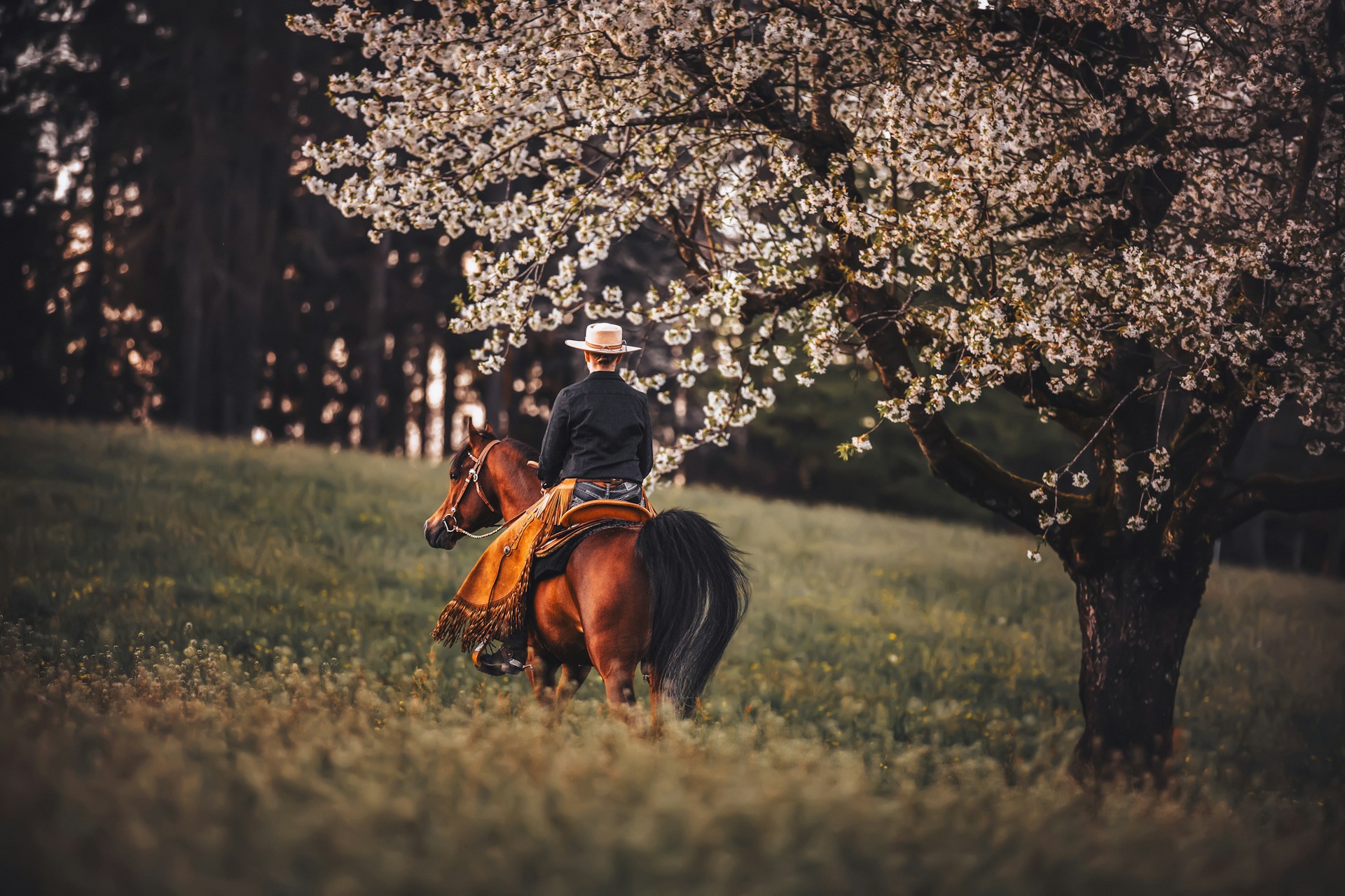 woman riding a horse and thinking about the benefits of equine therapy for addiction