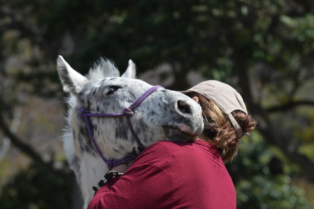 person showing the benefits of equine therapy in dual diagnosis treatment